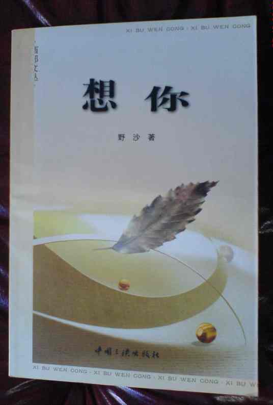 想你（2002年6月中国三峡出版社出版的图书）