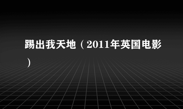 什么是踢出我天地（2011年英国电影）