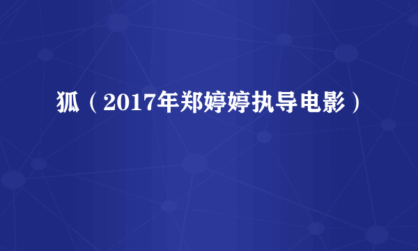 什么是狐（2017年郑婷婷执导电影）