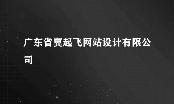 什么是广东省翼起飞网站设计有限公司