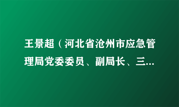 什么是王景超（河北省沧州市应急管理局党委委员、副局长、三级调研员）