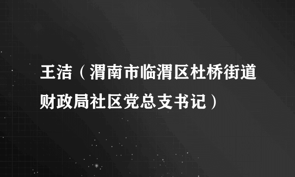 王洁（渭南市临渭区杜桥街道财政局社区党总支书记）