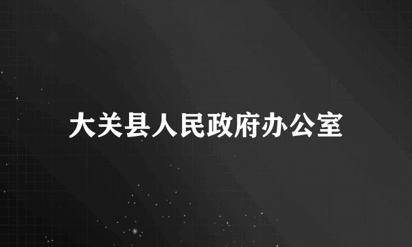 什么是大关县人民政府办公室