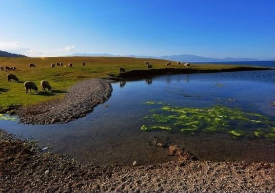 新疆博乐博尔塔拉河国家湿地公园