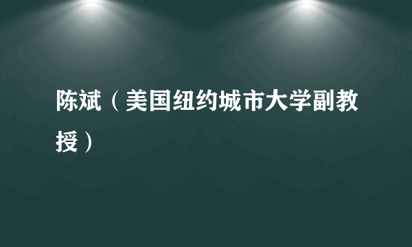 陈斌（美国纽约城市大学副教授）