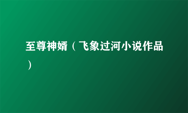 什么是至尊神婿（飞象过河小说作品）