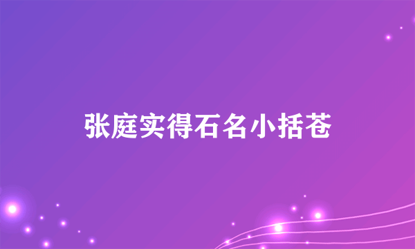 什么是张庭实得石名小括苍