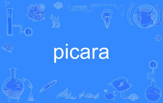 picara