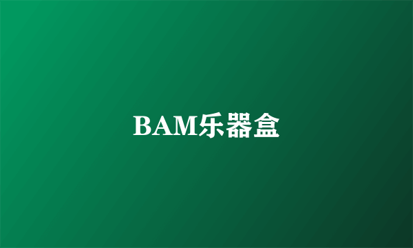 BAM乐器盒