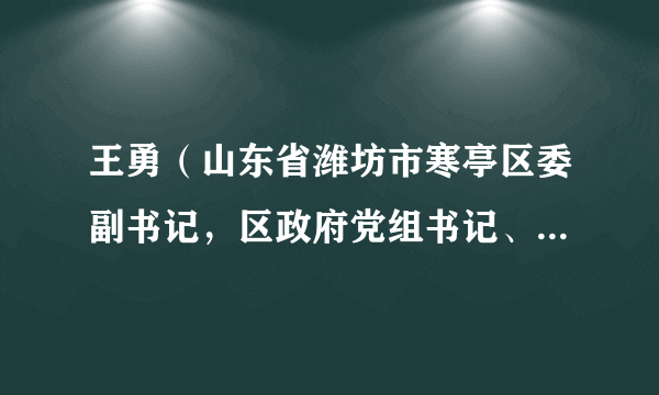 王勇（山东省潍坊市寒亭区委副书记，区政府党组书记、区政府区长）