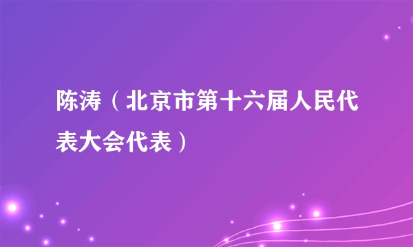 陈涛（北京市第十六届人民代表大会代表）