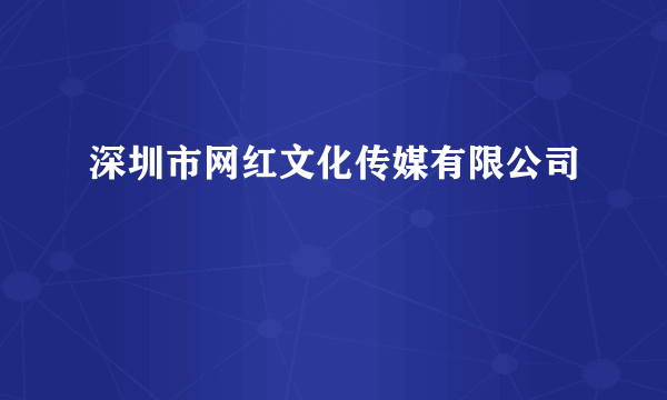 什么是深圳市网红文化传媒有限公司