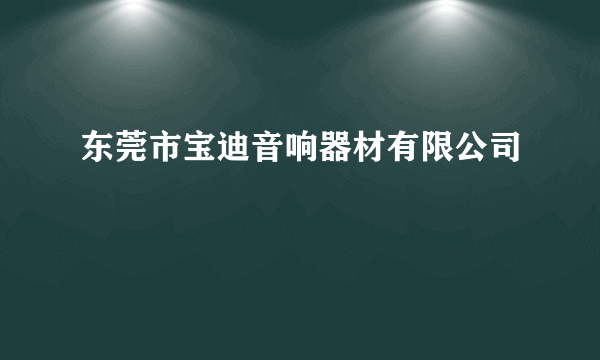 东莞市宝迪音响器材有限公司