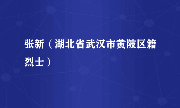 张新（湖北省武汉市黄陂区籍烈士）