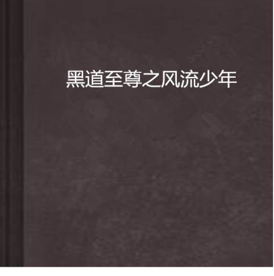 黑道至尊之风流少年