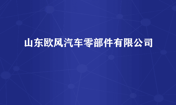 山东欧风汽车零部件有限公司