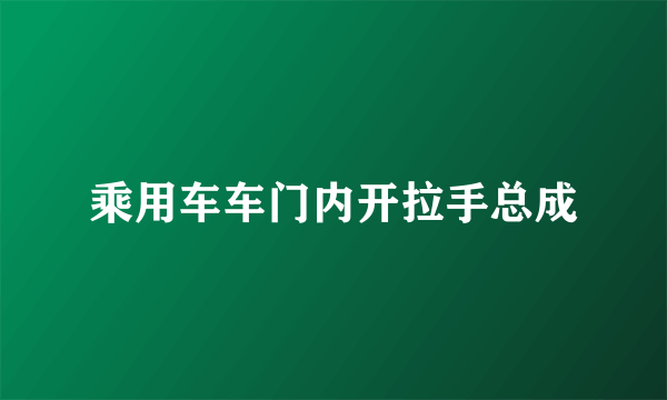 乘用车车门内开拉手总成