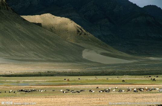 什么是陆地（地理名词）