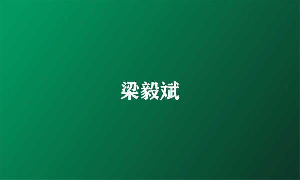 梁毅斌