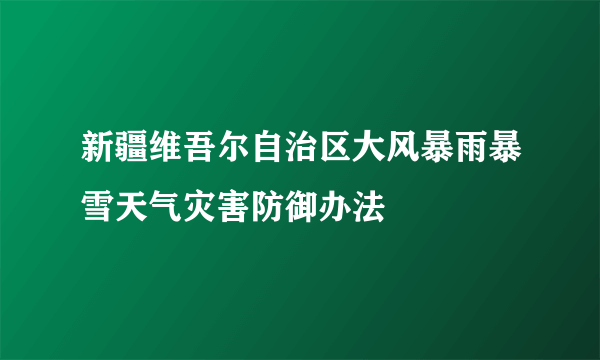 新疆维吾尔自治区大风暴雨暴雪天气灾害防御办法