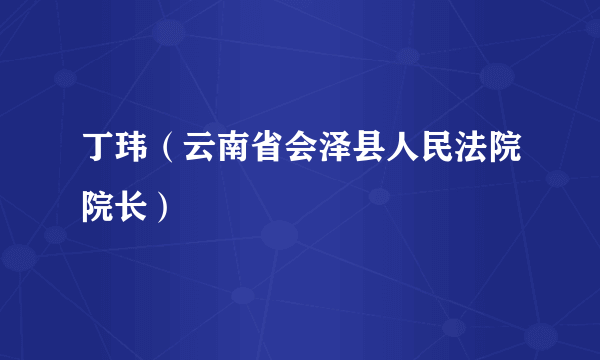 什么是丁玮（云南省会泽县人民法院院长）