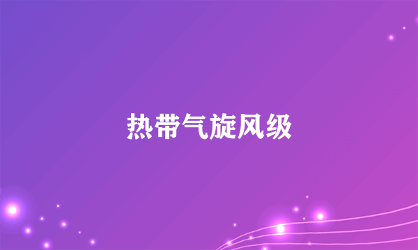 什么是热带气旋风级