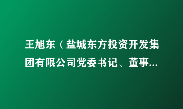 王旭东（盐城东方投资开发集团有限公司党委书记、董事长、总经理）