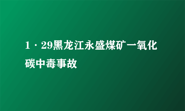 1·29黑龙江永盛煤矿一氧化碳中毒事故