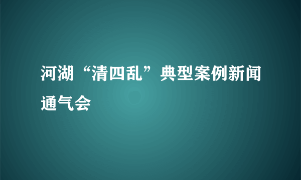 河湖“清四乱”典型案例新闻通气会