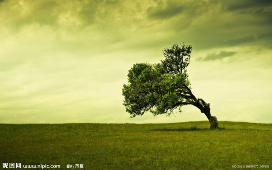 生物论文（2012年中国城市出版社出版的图书）