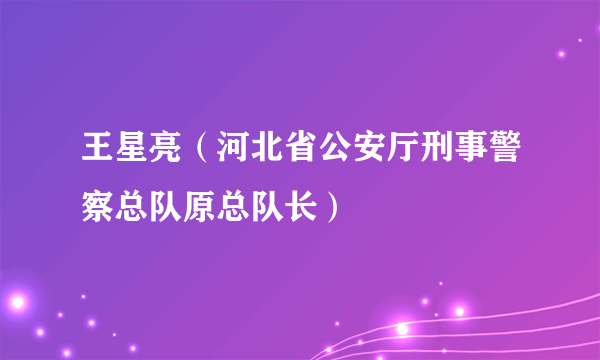 什么是王星亮（河北省公安厅刑事警察总队原总队长）