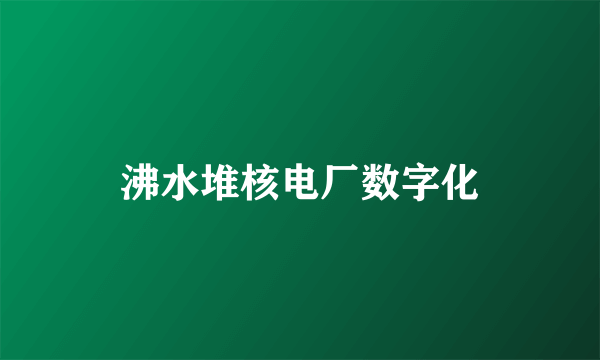 沸水堆核电厂数字化