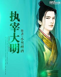 什么是执宰大明（小黑醉酒创作的网络小说）