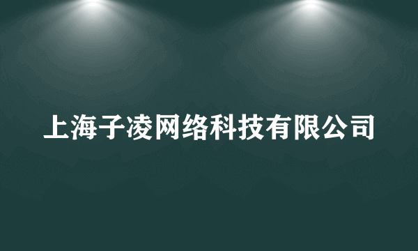 上海子凌网络科技有限公司