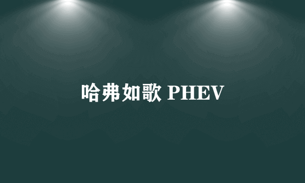 哈弗如歌 PHEV