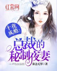 十夜成瘾：总裁的秘制夜妻