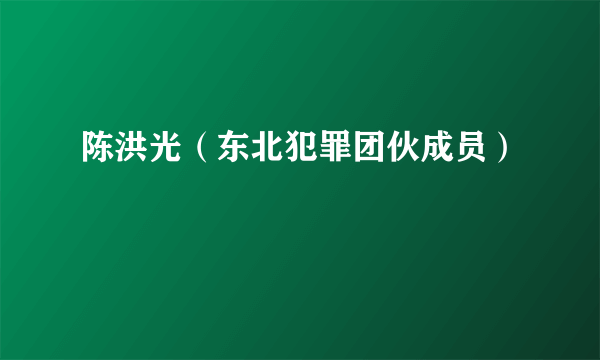 什么是陈洪光（东北犯罪团伙成员）