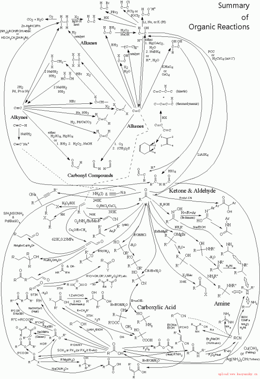 有机反应（化学术语）