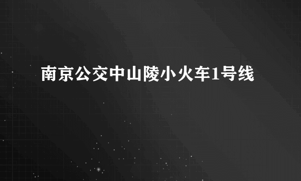 南京公交中山陵小火车1号线