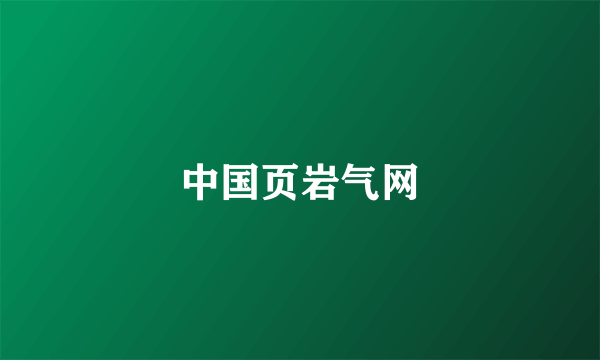 中国页岩气网