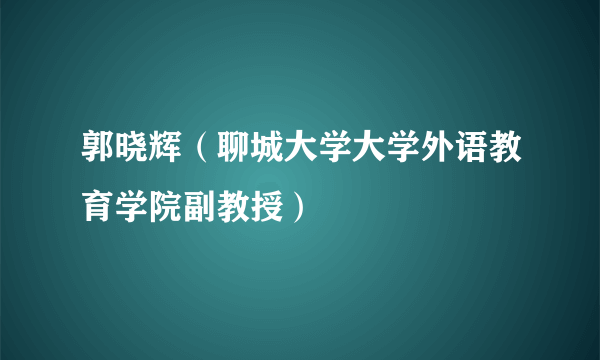 郭晓辉（聊城大学大学外语教育学院副教授）