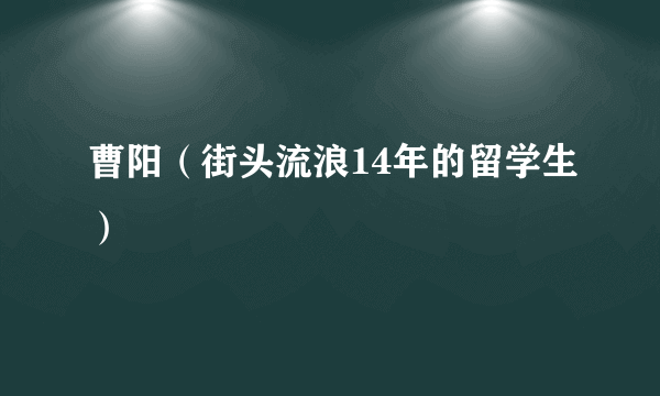 什么是曹阳（街头流浪14年的留学生）