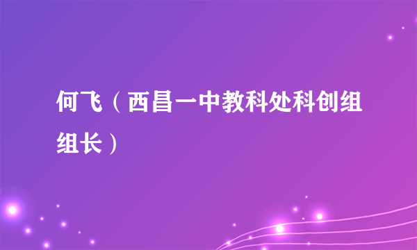 什么是何飞（西昌一中教科处科创组组长）