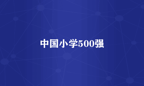 什么是中国小学500强