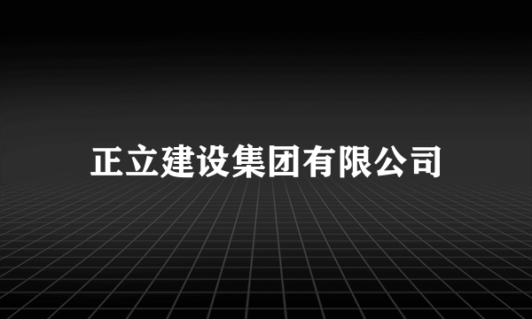 正立建设集团有限公司