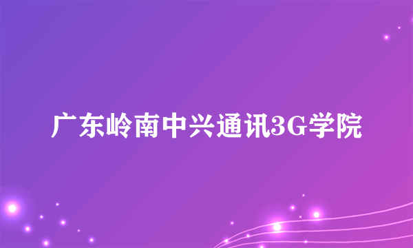 广东岭南中兴通讯3G学院