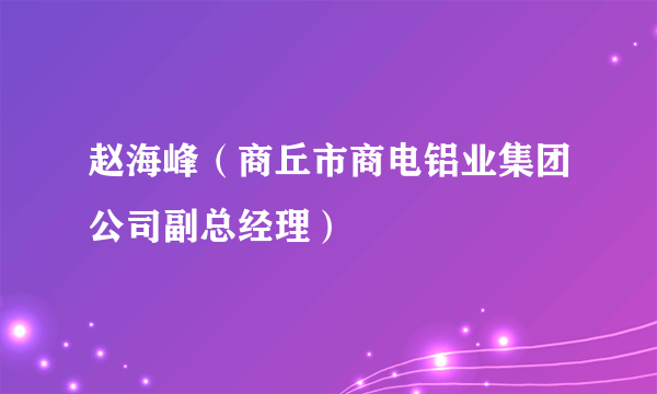 赵海峰（商丘市商电铝业集团公司副总经理）