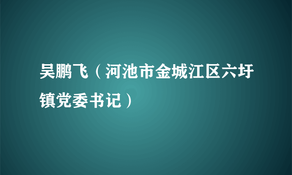 吴鹏飞（河池市金城江区六圩镇党委书记）