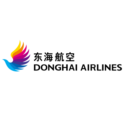 什么是东海航空有限公司