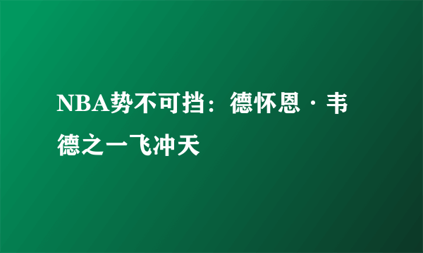 NBA势不可挡：德怀恩·韦德之一飞冲天